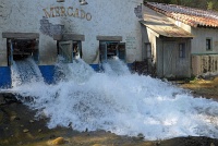  Flood, Universal Studios Hollywood