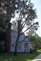  Mrs McCluskey's house from Desperate Housewives, Universal Studios Hollywood