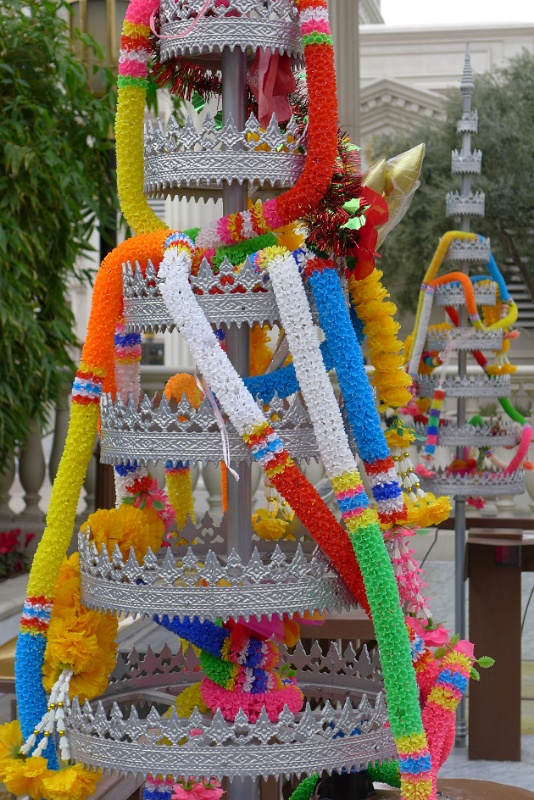 P1030261