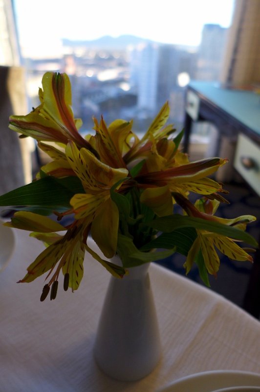P1040145