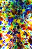  Fiori di como