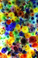  Fiori di como