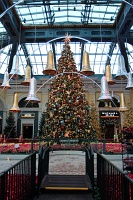  Bellagio Conservatory and Botanical Gardens