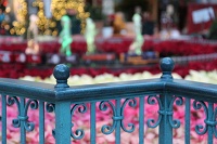  Bellagio Conservatory and Botanical Gardens