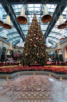  Bellagio Conservatory and Botanical Gardens