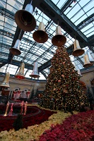 Bellagio Conservatory and Botanical Gardens