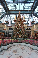  Bellagio Conservatory and Botanical Gardens