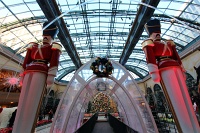  Bellagio Conservatory and Botanical Gardens