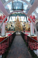  Bellagio Conservatory and Botanical Gardens