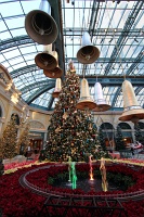 Bellagio Conservatory and Botanical Gardens