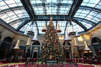  Bellagio Conservatory and Botanical Gardens
