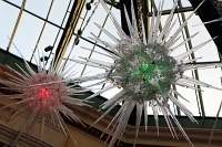  Bellagio Conservatory and Botanical Gardens