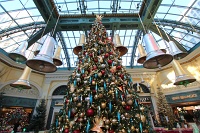  Bellagio Conservatory and Botanical Gardens