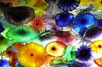  Fiori di como