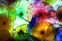  Fiori di como
