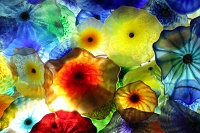  Fiori di como