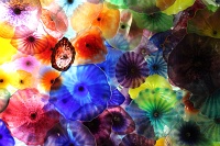  Fiori di como