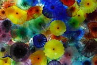  Fiori di como