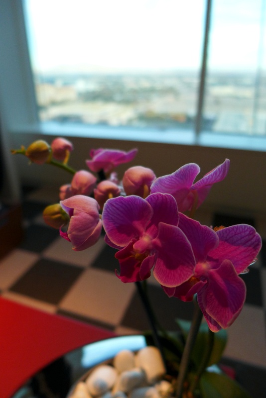 P1020644