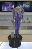  Purple and pink phoenix suit