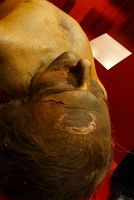 Mob Museum