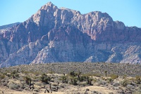 Red Rock Canyon