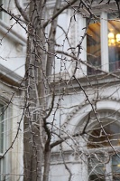  City Hall Park