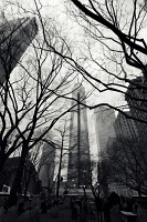  One World Trade Center
