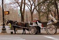  Central Park