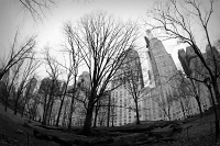  Central Park