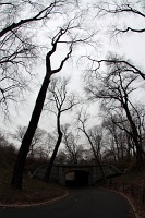  Central Park