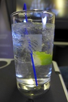  Gin & Tonic, United First Class Dinner