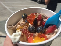  Frozen Yogurt with all the Fixins