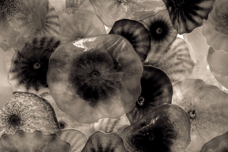 P1060786