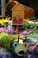  Bellagio Conservatory and Botanical Gardens