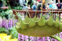  Bellagio Conservatory and Botanical Gardens