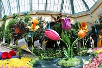  Bellagio Conservatory and Botanical Gardens