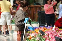  Bellagio Conservatory and Botanical Gardens