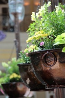  Bellagio Conservatory and Botanical Gardens
