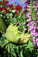  Bellagio Conservatory and Botanical Gardens