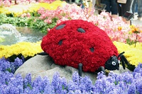  Bellagio Conservatory and Botanical Gardens