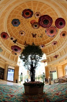  Bellagio