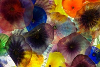  Fiori di Como, Bellagio