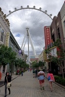  The LINQ
