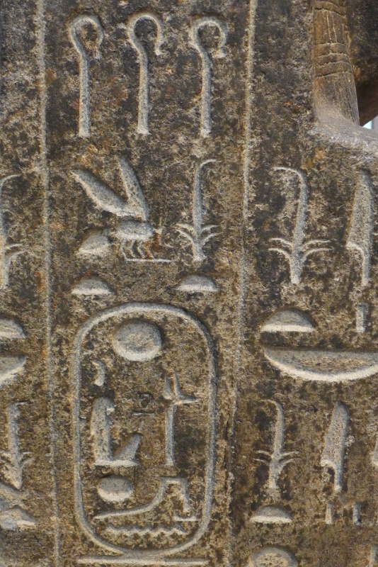 P1060469