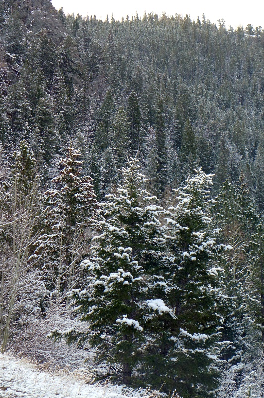 P1080646