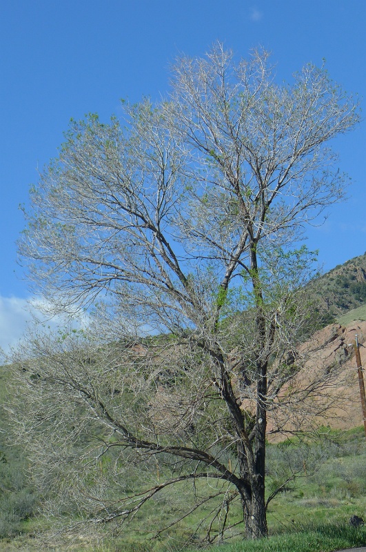 P1080767