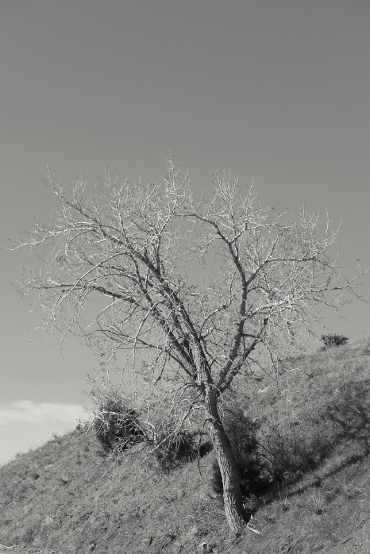 P1080776