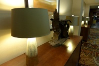  Marriott Fort Collins