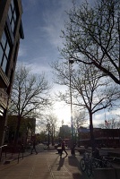  Downtown Fort Collins, CO